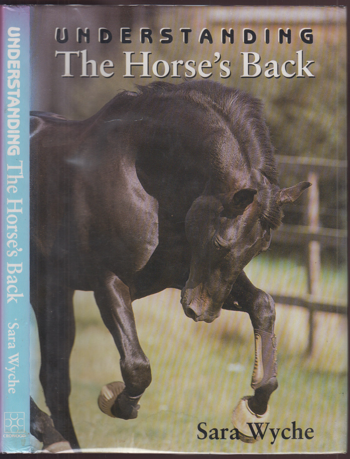 Understanding the Horse's Back