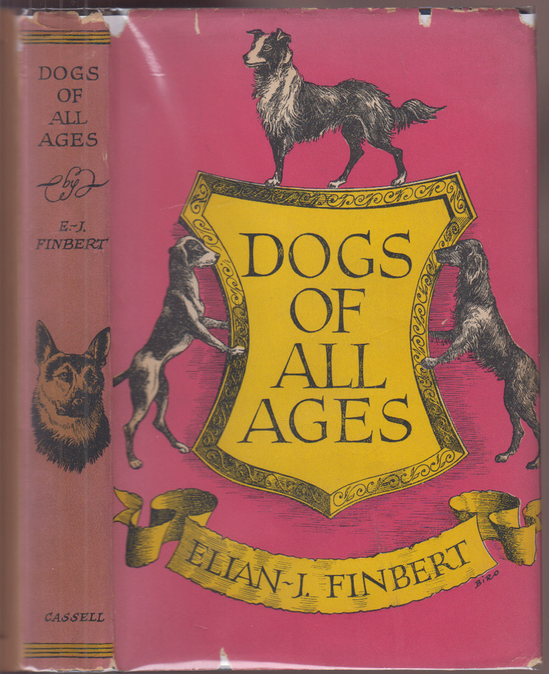 Dogs Of All Ages