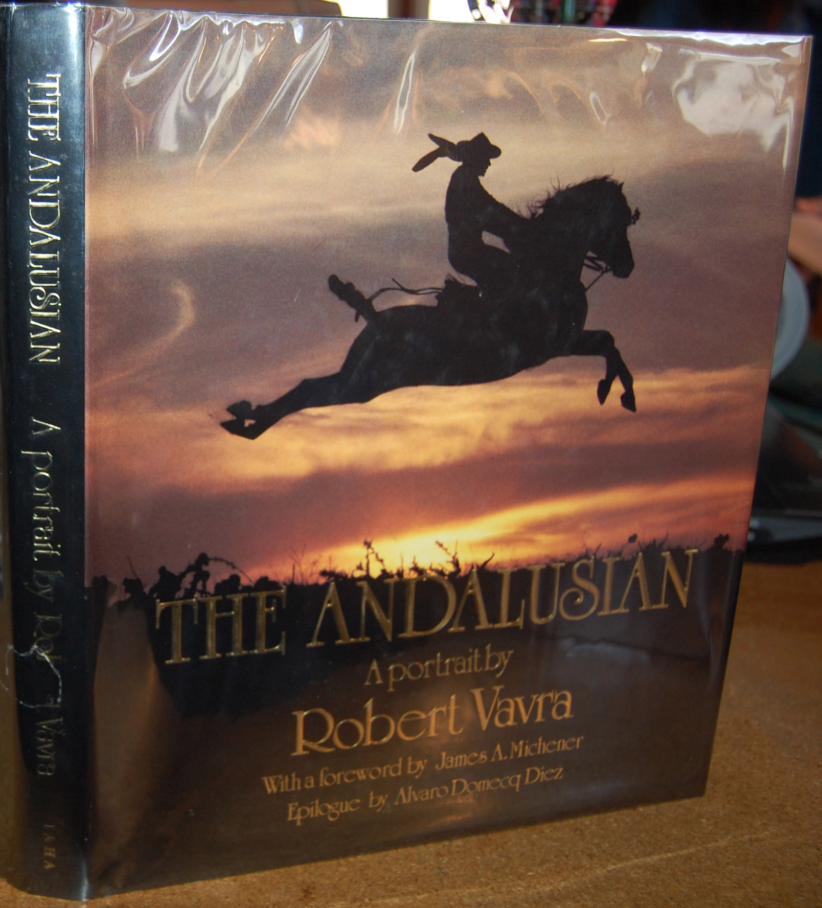 Image for The Andalusian A Portrait The Andalusian A Portrait