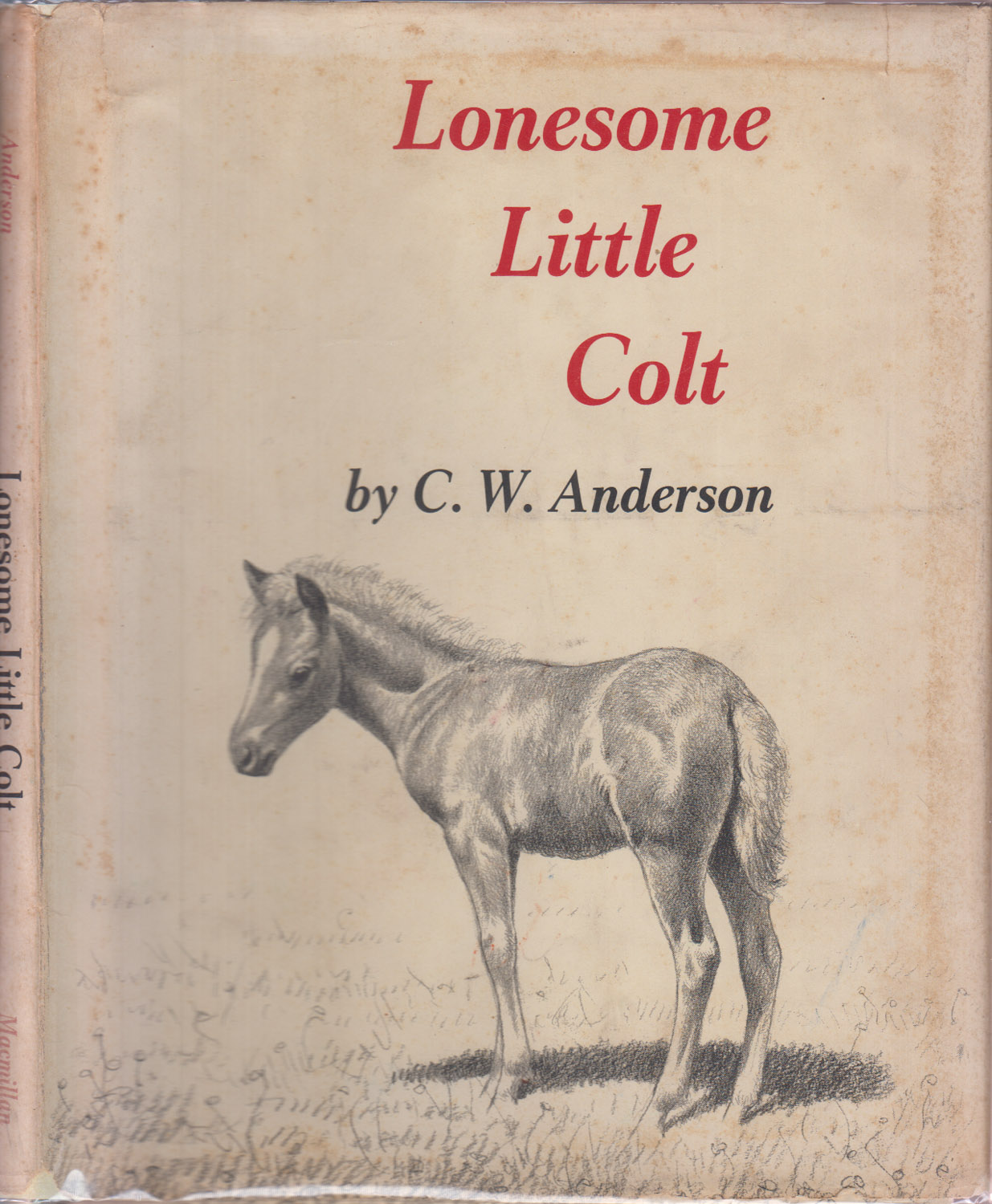 Lonesome Little Colt