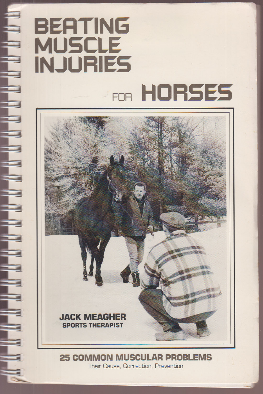 Beating Muscle Injuries For Horses 25 Common Muscular Problems Their Cause, Correction, Prevention