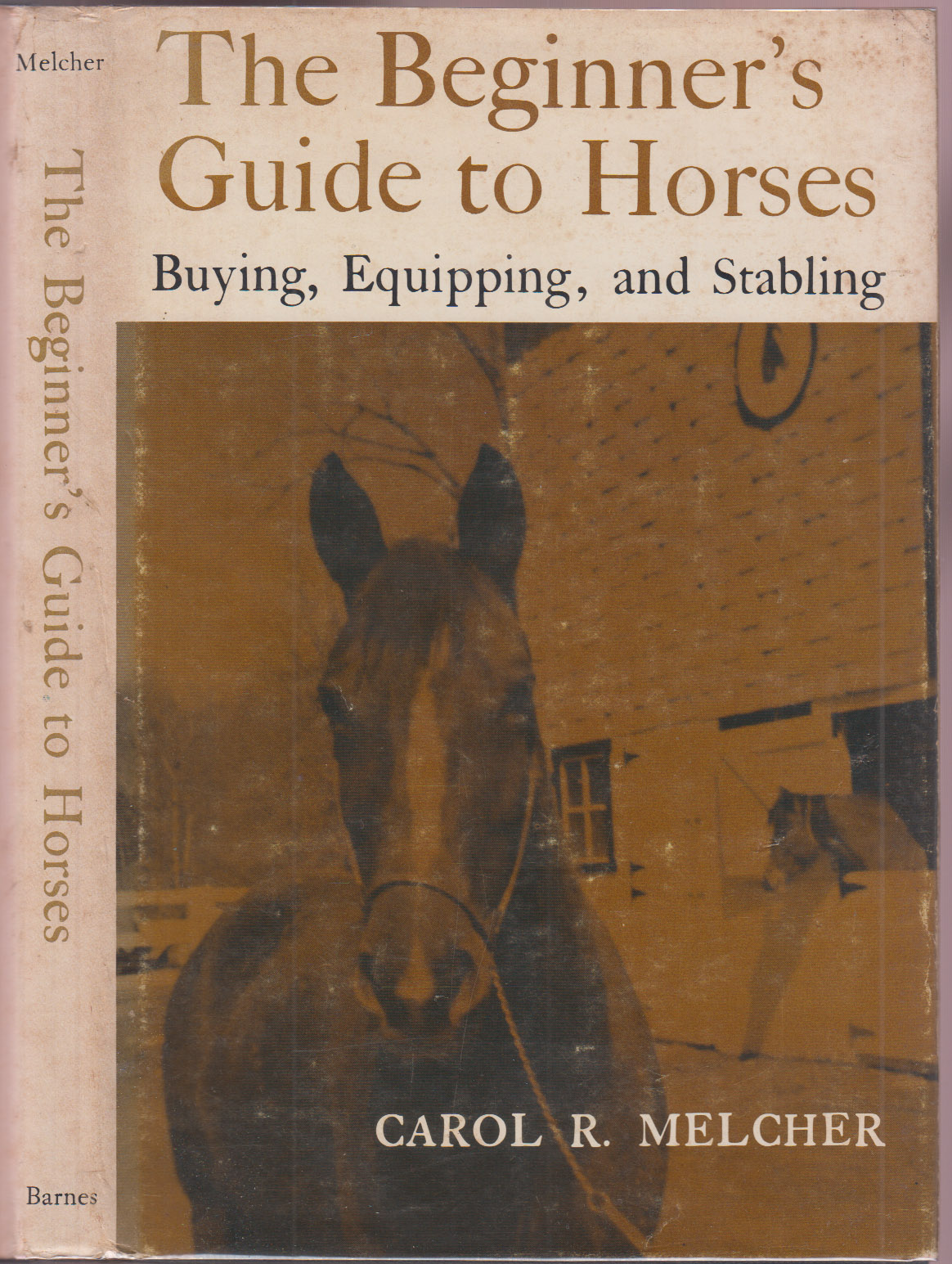 The Beginner's Guide to Horses: Buying, Equipping, and Stabling
