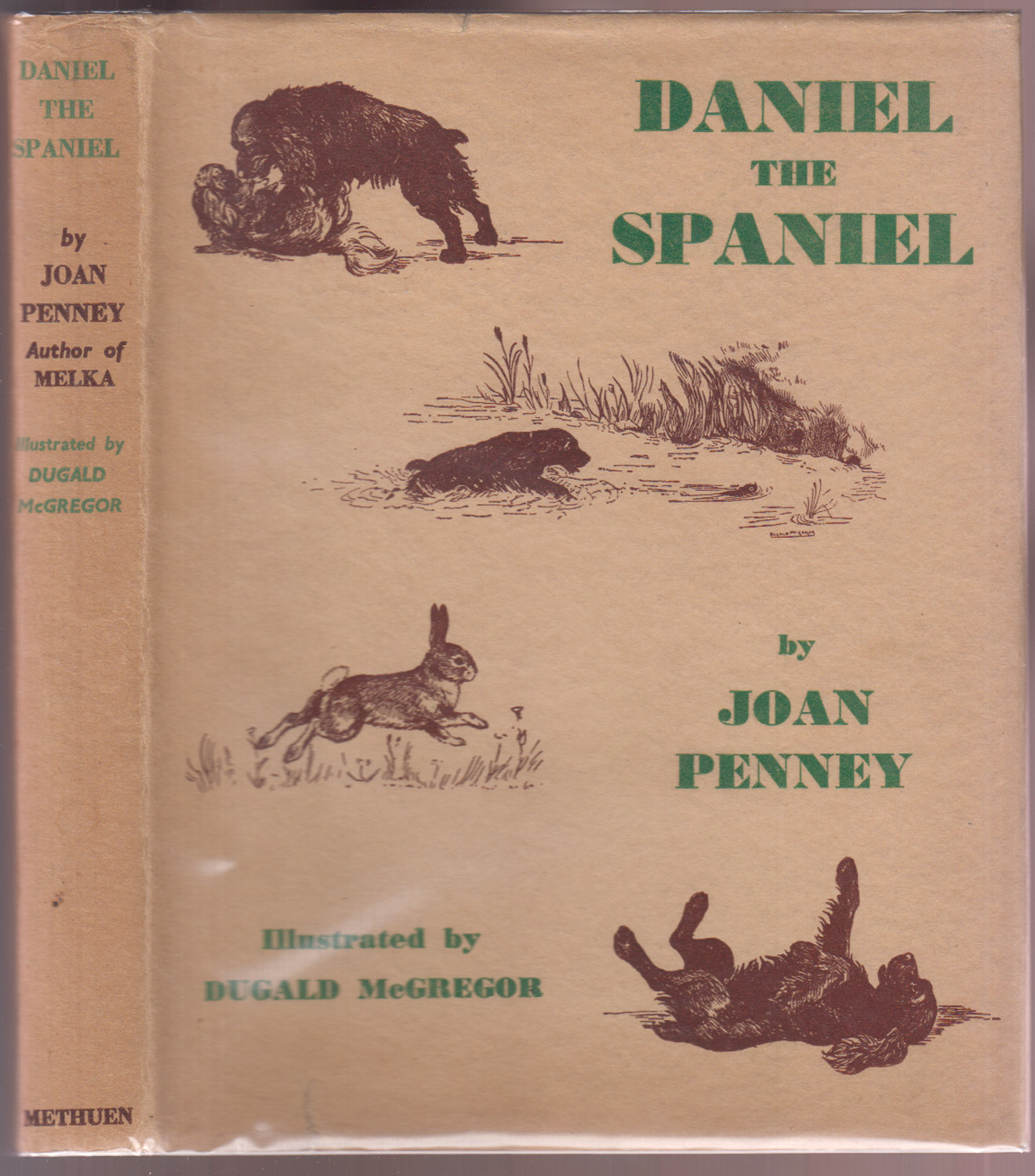 Daniel the Spaniel