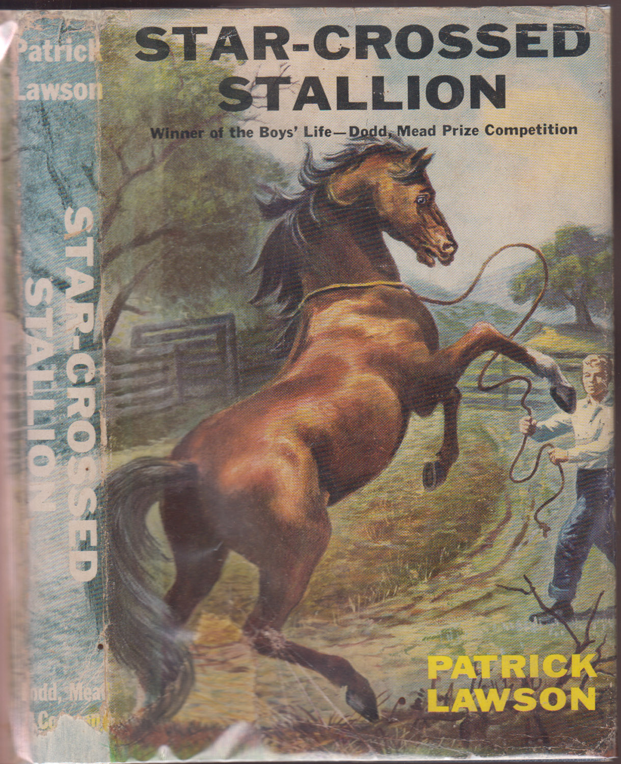 Image for Star-Crossed Stallion Star-Crossed Stallion