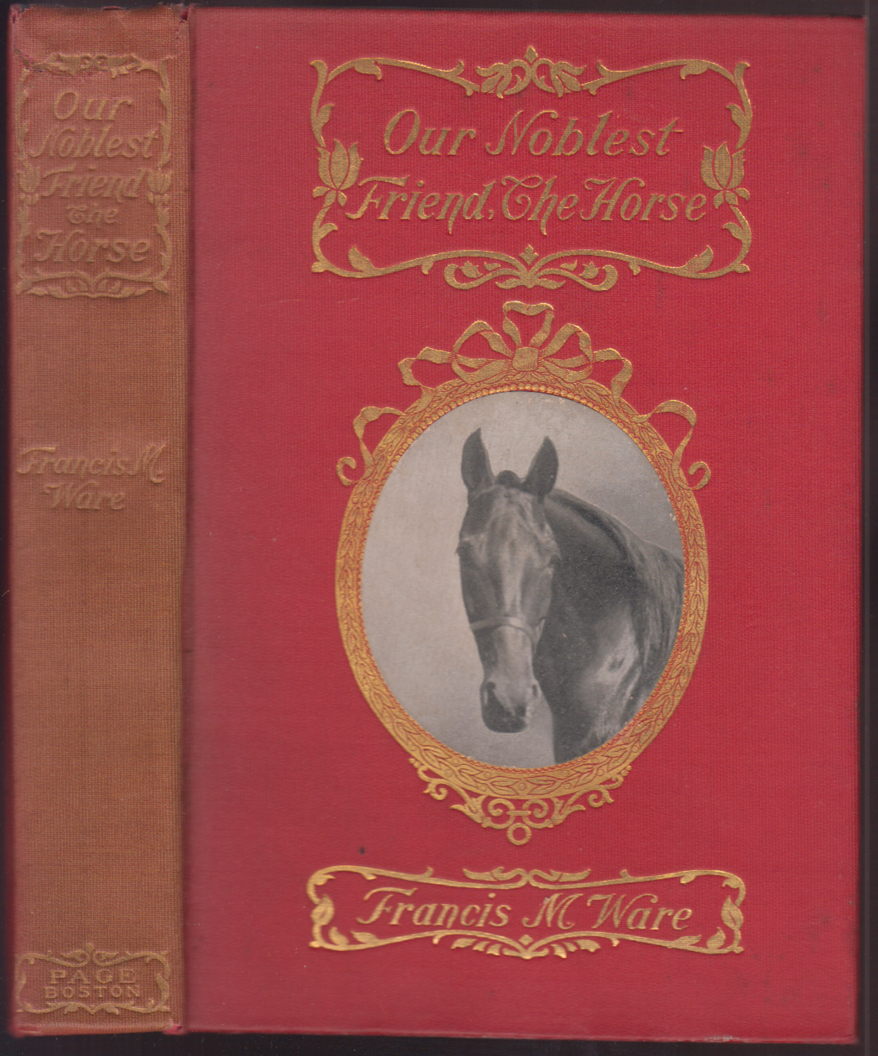 Image for Our Noblest Friend the Horse Our Noblest Friend the Horse