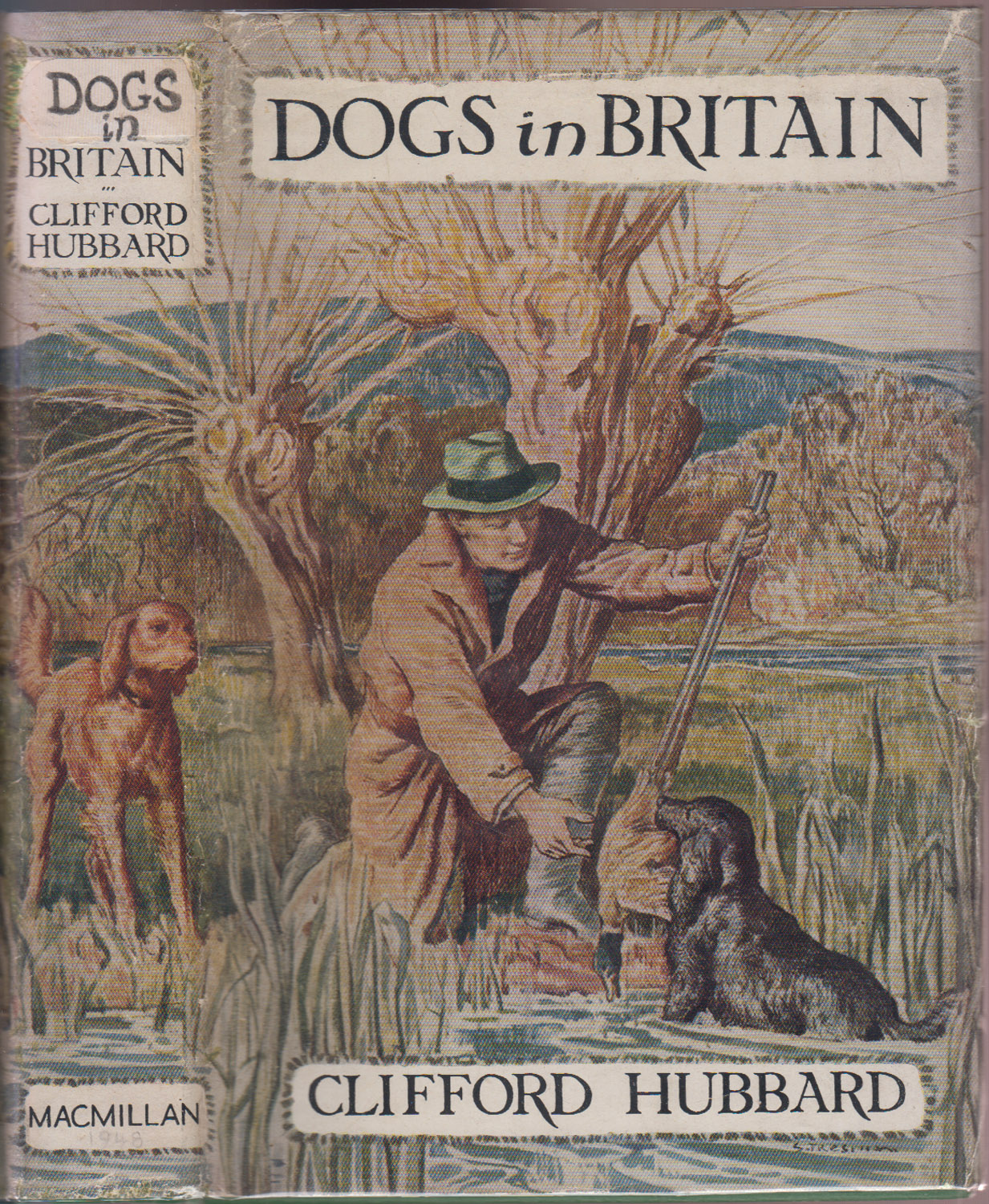 Image for Dogs in Britain;: A Description of all Native Breeds and Most Foreign Breeds in Britain Dogs in Britain;: A Description of all Native Breeds and Most Foreign Breeds in Britain