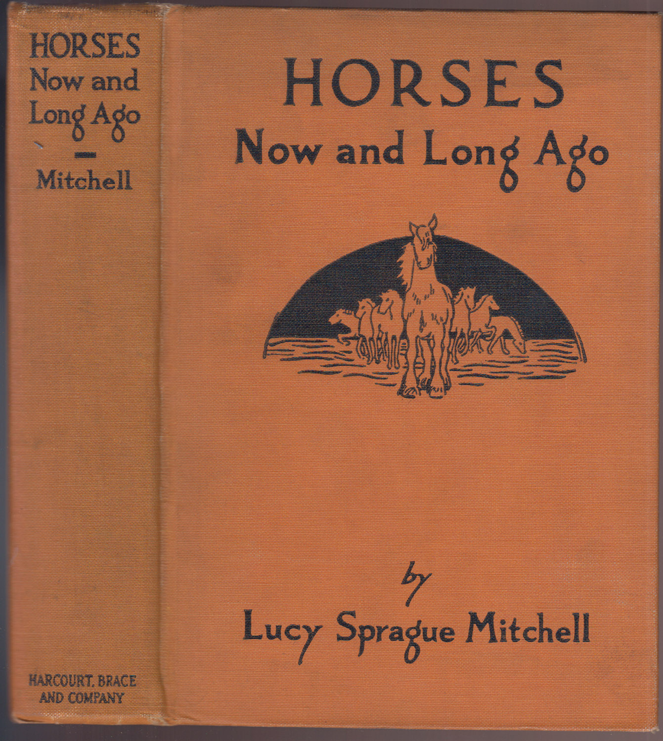 Image for Horses Now and Long Ago Horses Now and Long Ago