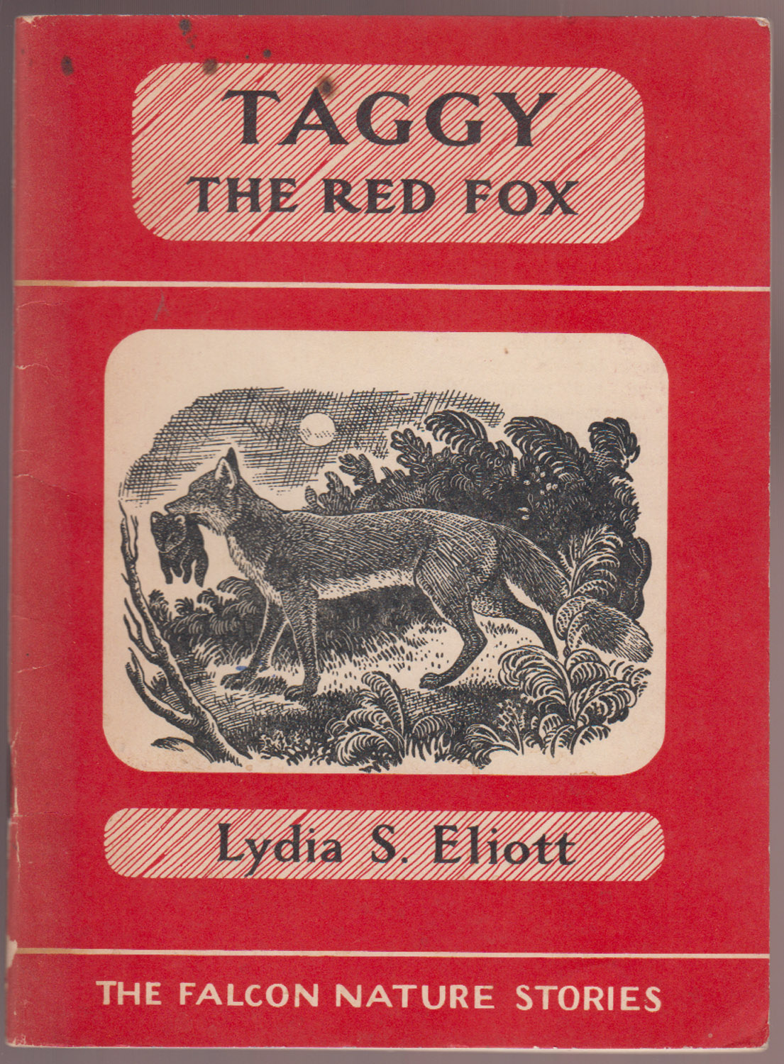 Taggy the Red Fox The Falcon Nature Stories