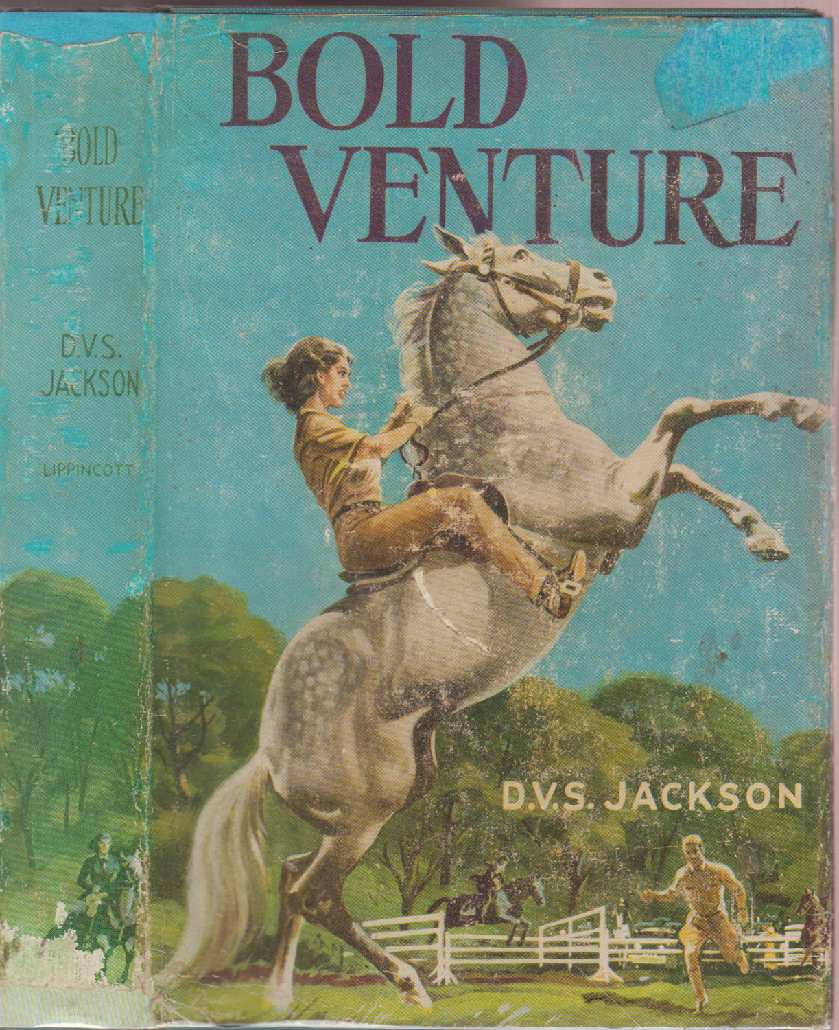 Bold Venture