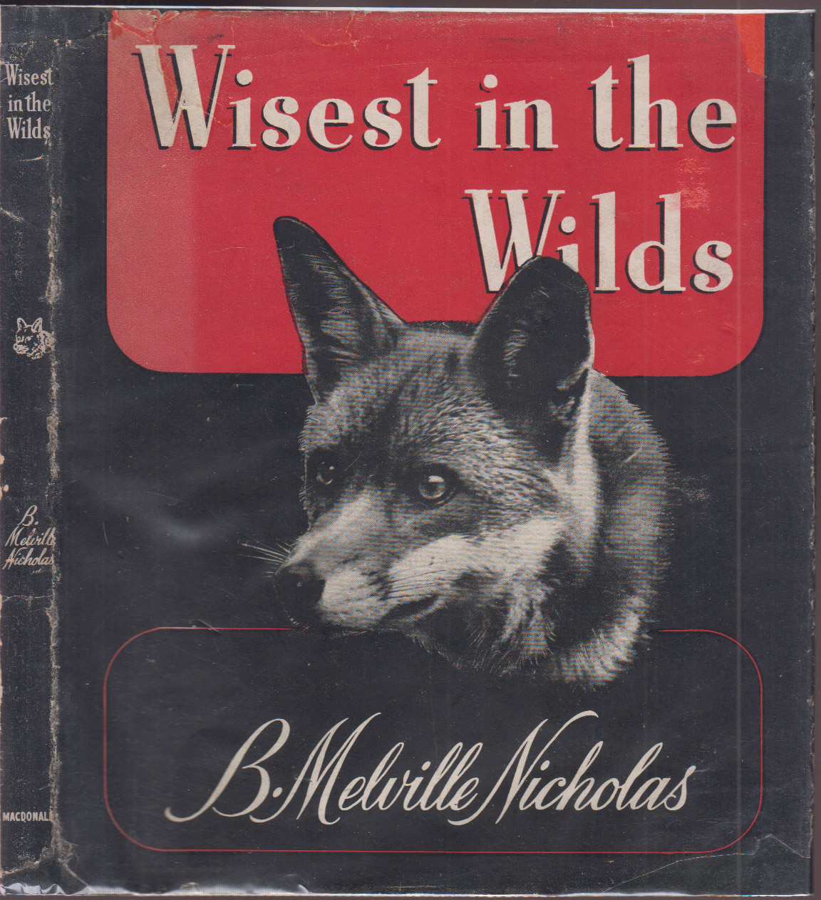 Wisest in the Wilds