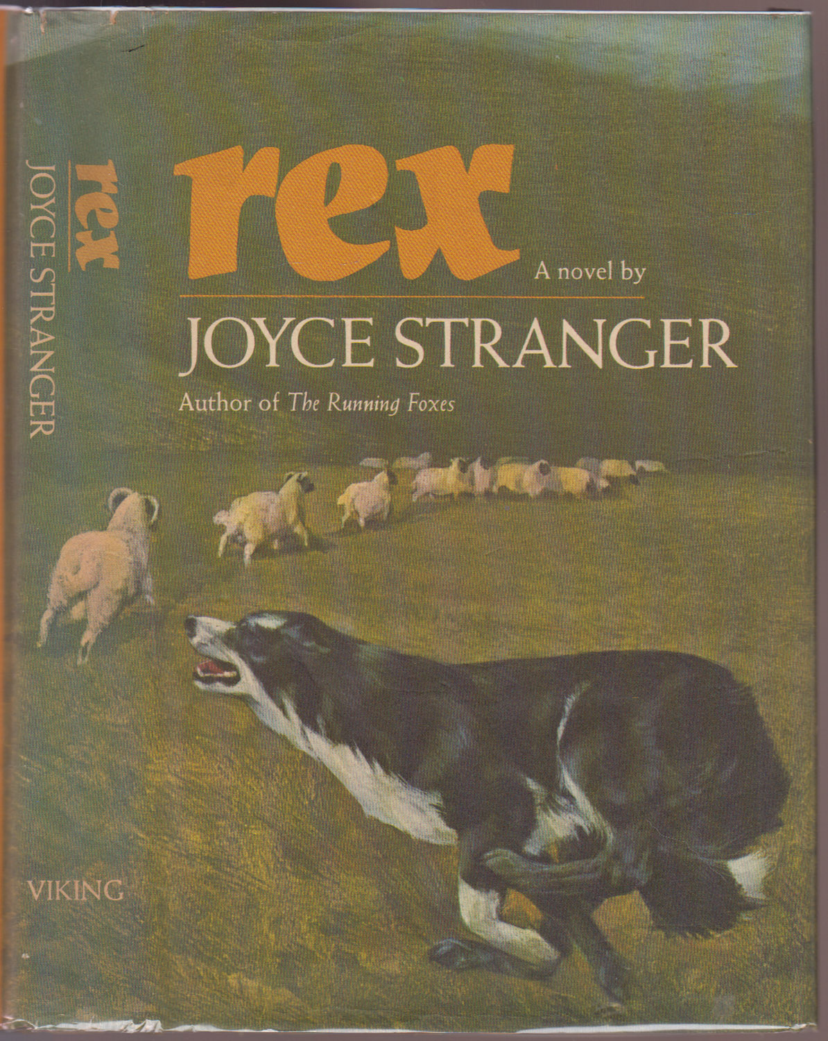 Rex