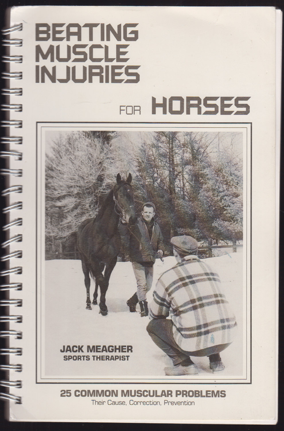 Beating Muscle Injuries For Horses 25 Common Muscular Problems Their Cause, Correction, Prevention