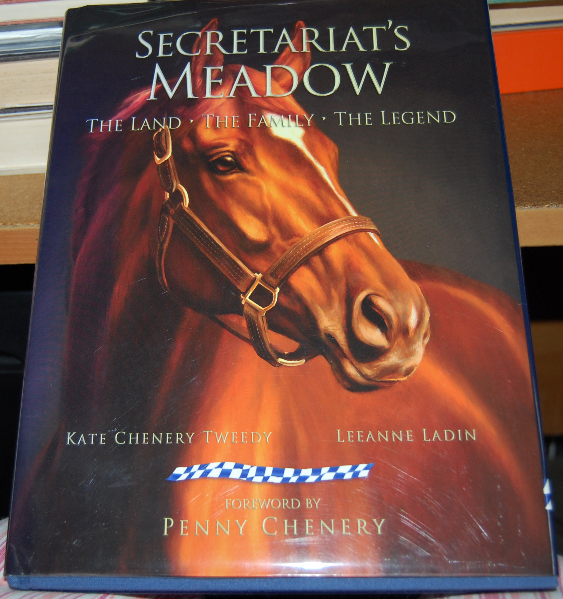 Secretariat's Meadow